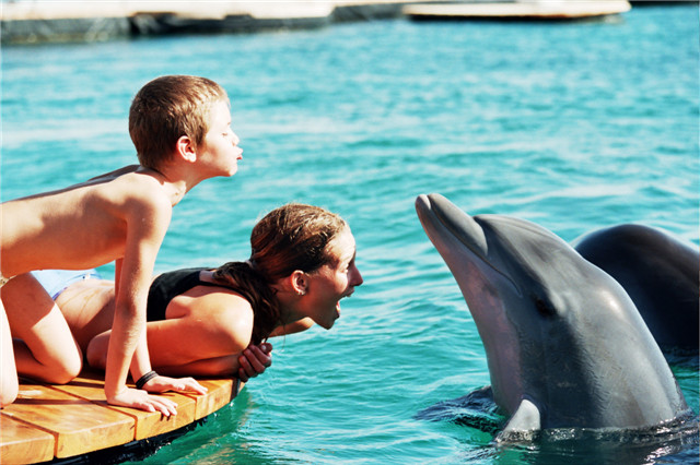 israelphotogallery_15387244691_Dolphin Reef - Eilat.jpg