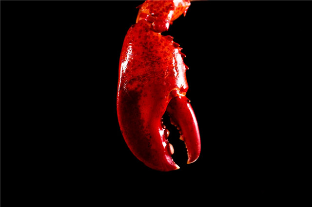 9B5C1544.jpg