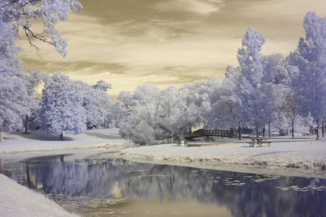 batch_lake phalen canal in winter st. paul_754463_natalie mcguire.jpg