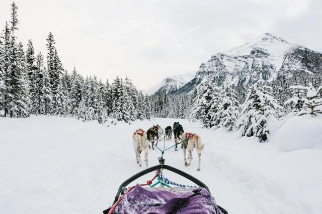 batch_狗拉雪橇 Photo by Chris Amat.jpg