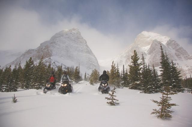 batch_a13-008635--High-Res JPG.jpg