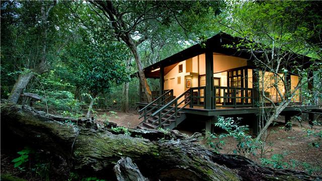 8.andBeyond Phinda Forest Lodge2.jpg