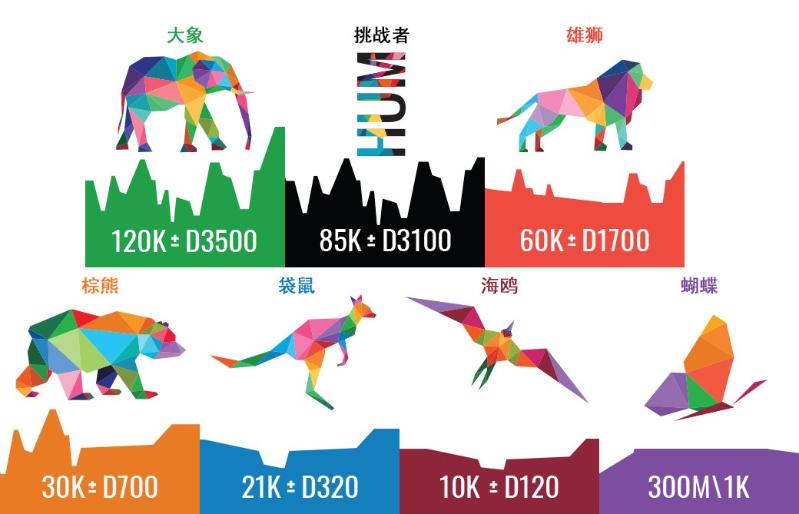 动物图案赛段.jpg