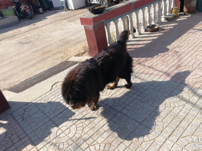 微信图片_20200307153917.jpg