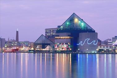 11.巴尔的摩国家水族馆.jpg