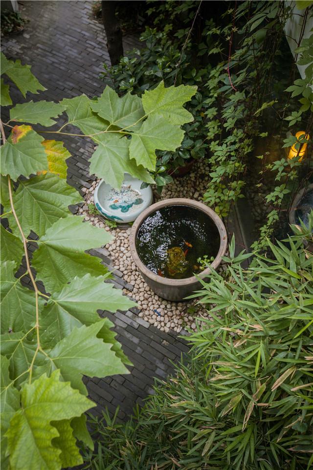 Outdoor Daytime - 15 of 42.jpg