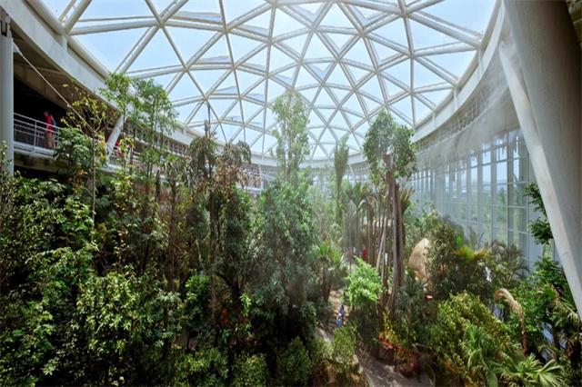 4.植物馆.jpg
