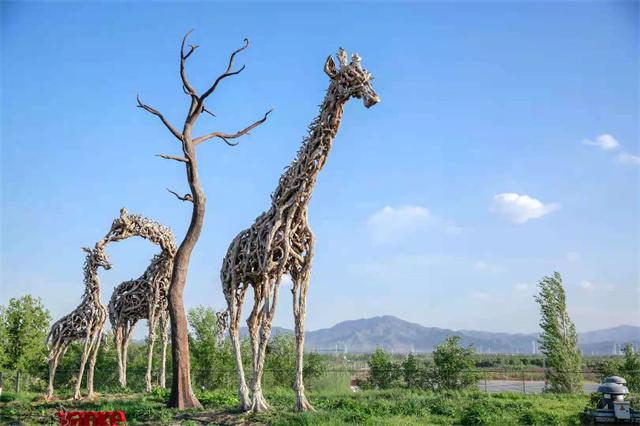 8.植物馆《莫莉和她的一家人》.jpg