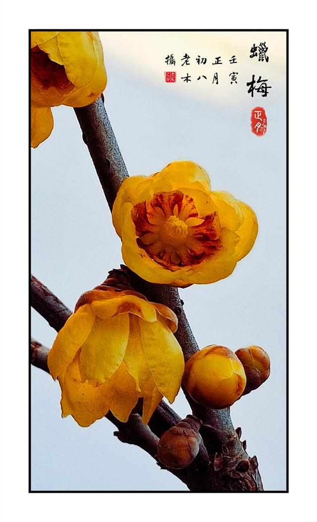 微信图片_20220618202515.jpg