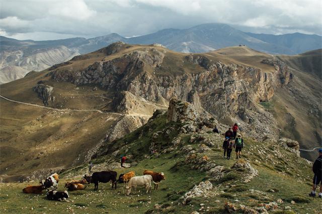 Grizdahna – Griz trail4.jpg