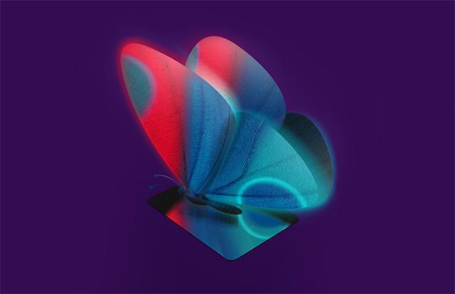 2. DFS x 银联国际金秋联名款「蝶恋花」 .jpg