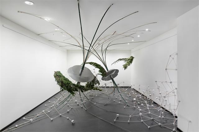 半岛艺廊_展品洞穴.jpg