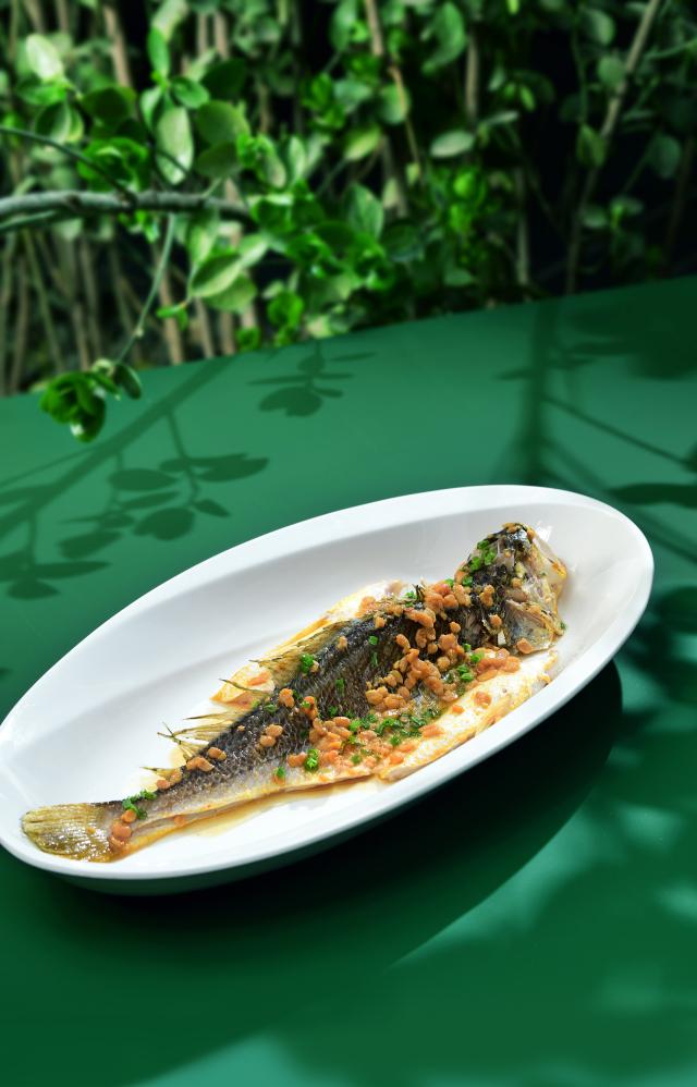 普宁豆酱蒸黄鱼 Braised Yellow Croaker with Cantonese Puning Soybean Paste.jpg