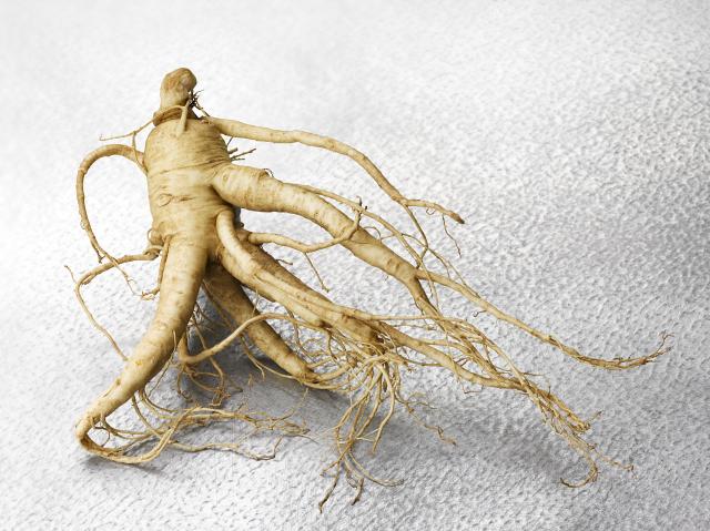 Ginseng Root_02.jpg