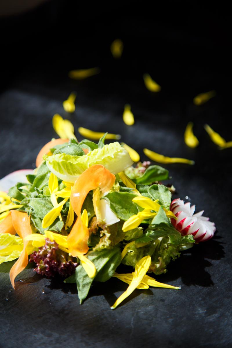 金菊花蔬菜沙拉.jpeg