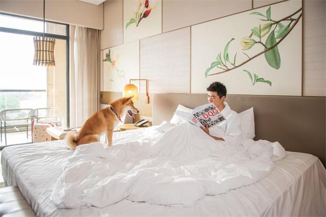 1.「皇家」萌犬主题客房1.jpg