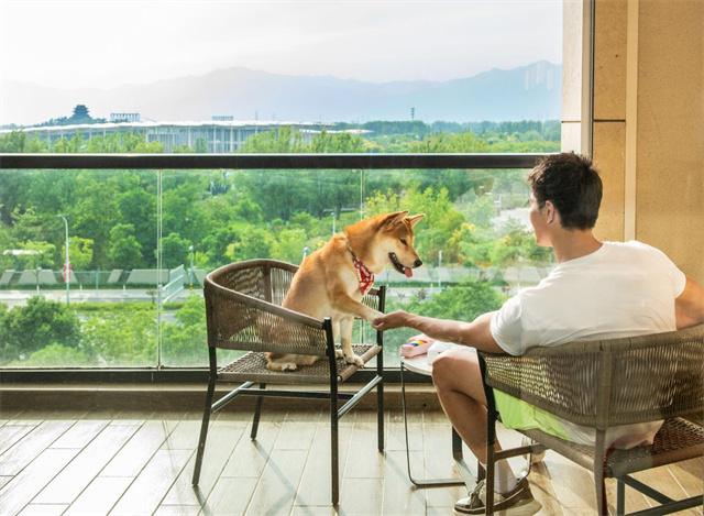 2.「皇家」萌犬主题客房2.jpg
