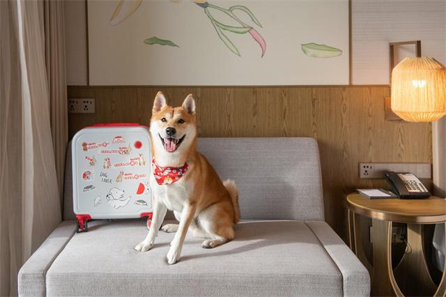 4.「皇家」萌犬主题客房4.jpg