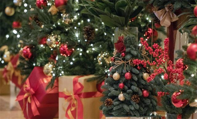 1 - Festive Senasons.jpg