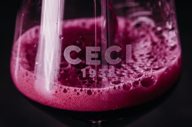 Ceci 1938_To You (5).jpg