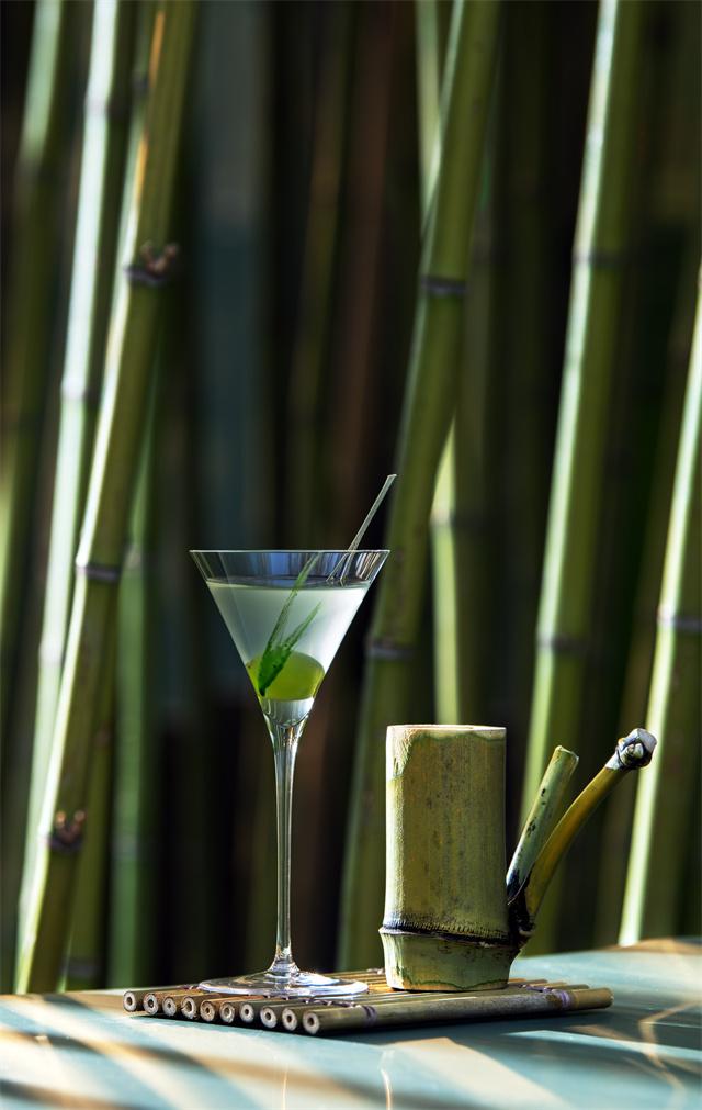 SICHUAN BAMBOO  蜀南竹海马天尼.jpg