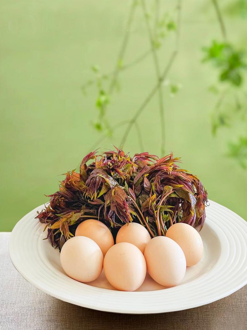 香椿鸡蛋.jpg