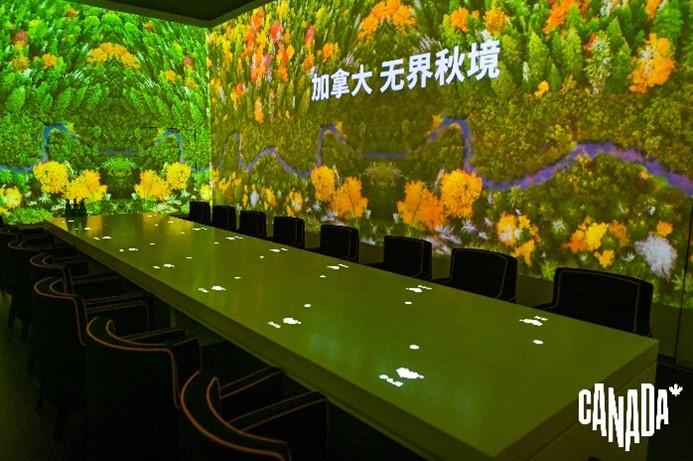 现场唯美的光影效果.jpg
