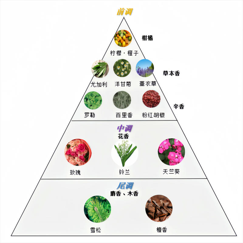 图片9.jpg
