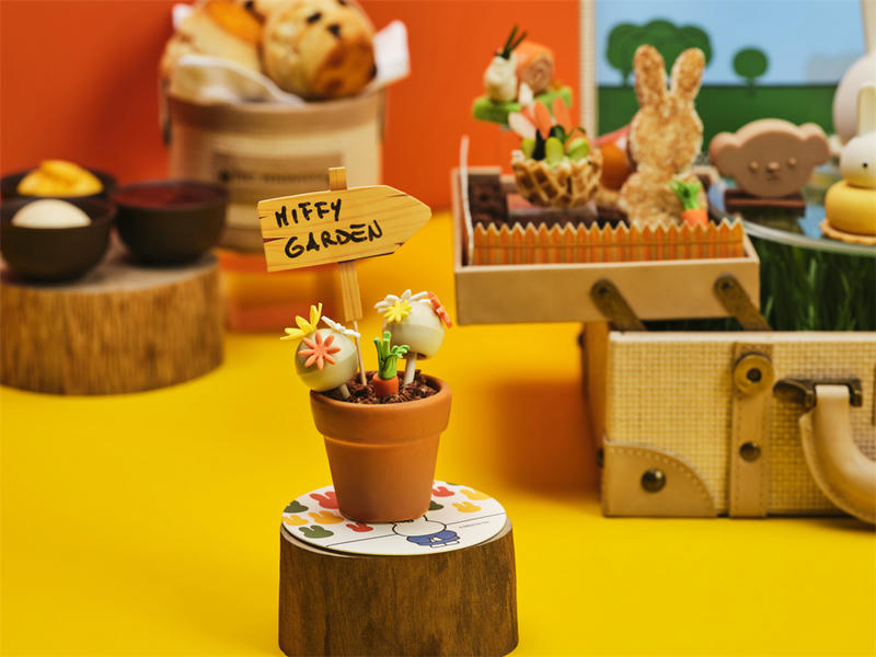 MIFFY AFT (1).jpg