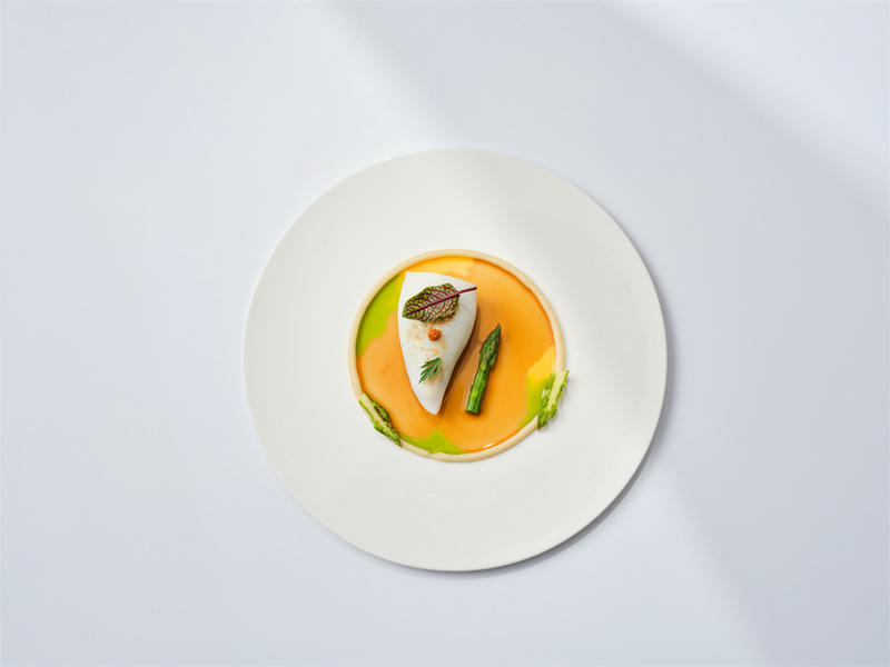 东⼭岛鱿⻥ Dongshang Island Squid.jpg