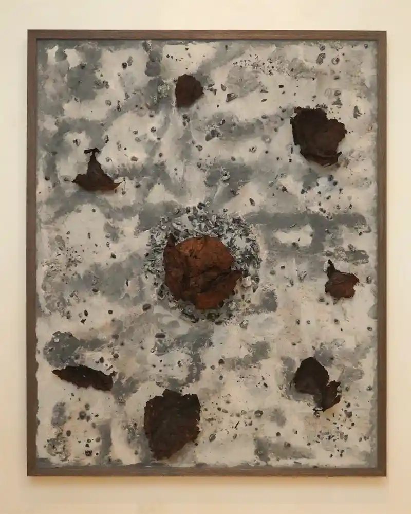 作品_烧焦的卷心菜.jpg