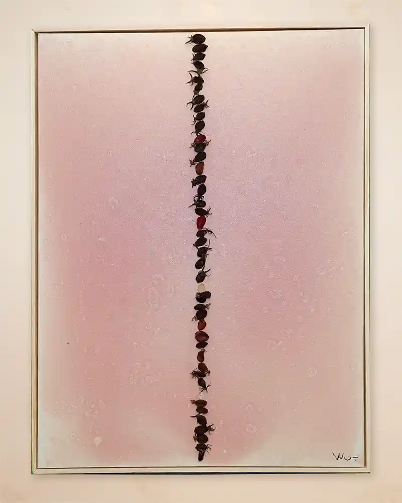 作品_山东刘菜园番茄.jpg