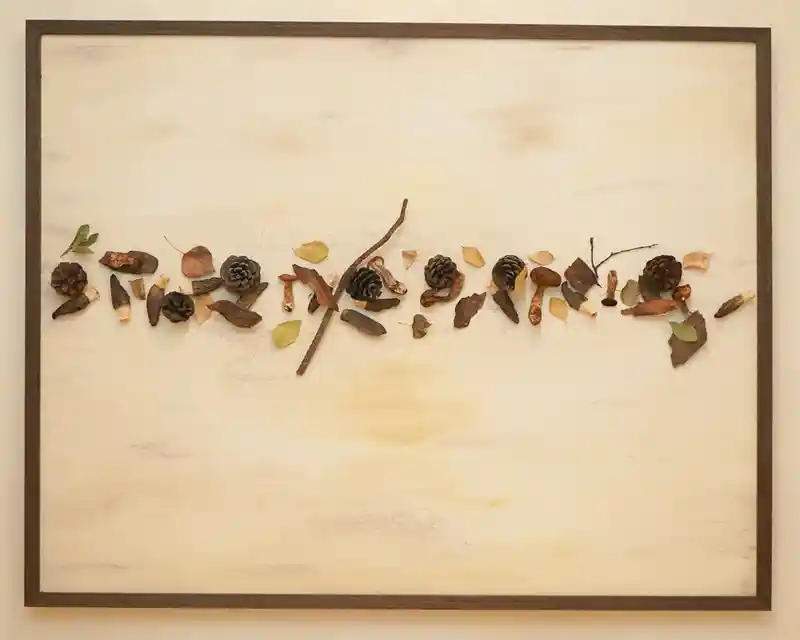 作品_云南蘑菇.jpg
