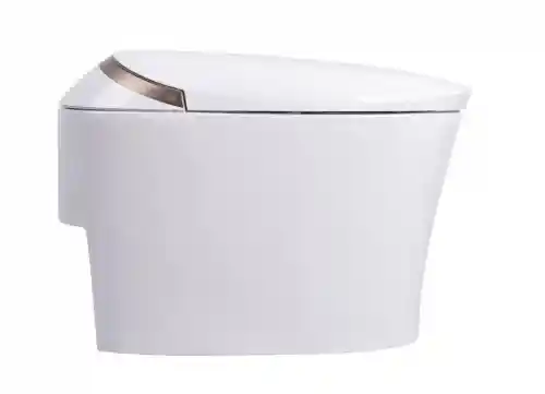 12.png
