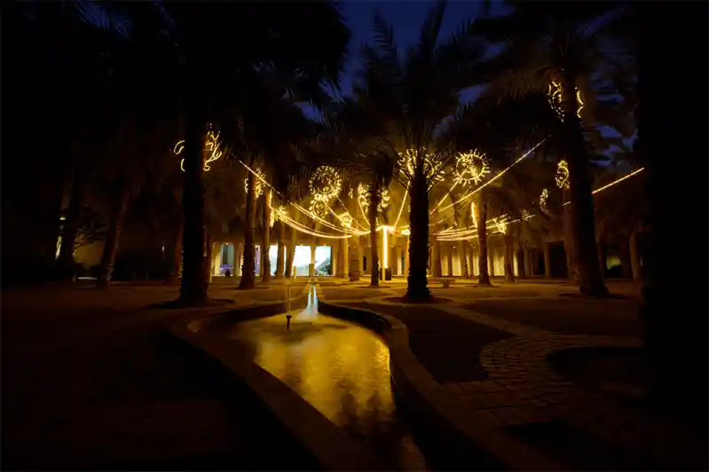 Zhang Zengzeng_归家之光_摄影_2025年努尔·利雅得灯光节.jpg